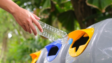 Hand placing a plastic bottle into a recycling bin with colored slots in a sunny outdoor setting.