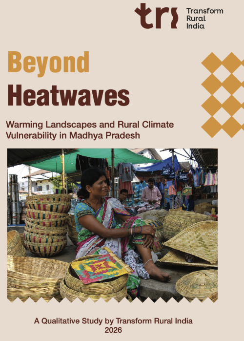 TRI Report Beyond Heatwaves Image